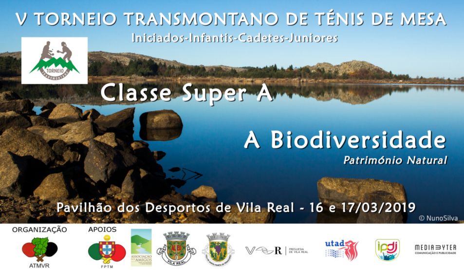 V Torneio Transmontano